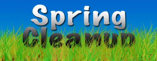 City of Elkins Spring Clean-up