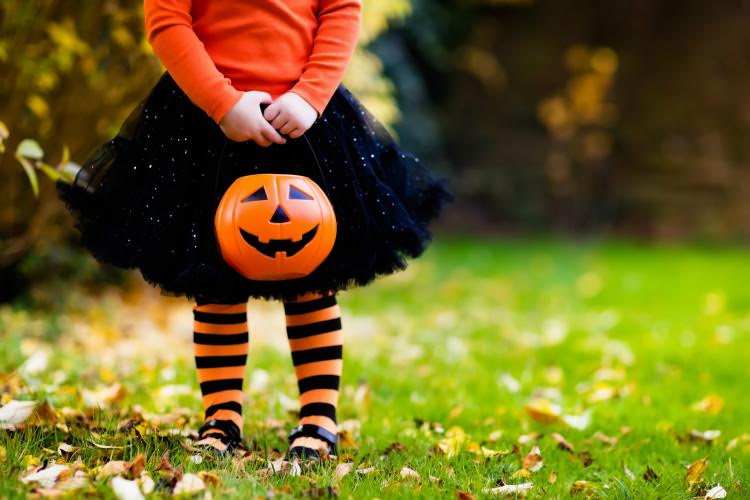 Your News Local Mississinewa Lake Autumn Camping Weekend events